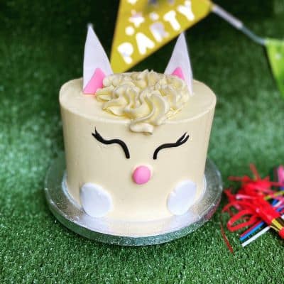 Bunny Birthday Cake